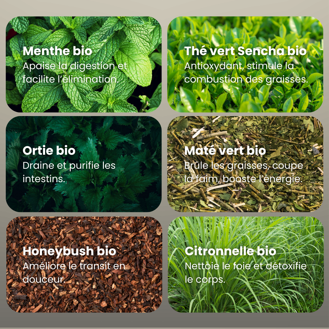 Mirathé BIO – CURE MINCEUR 20 JOURS