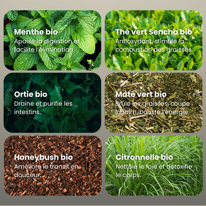 Mirathé BIO – CURE MINCEUR 20 JOURS